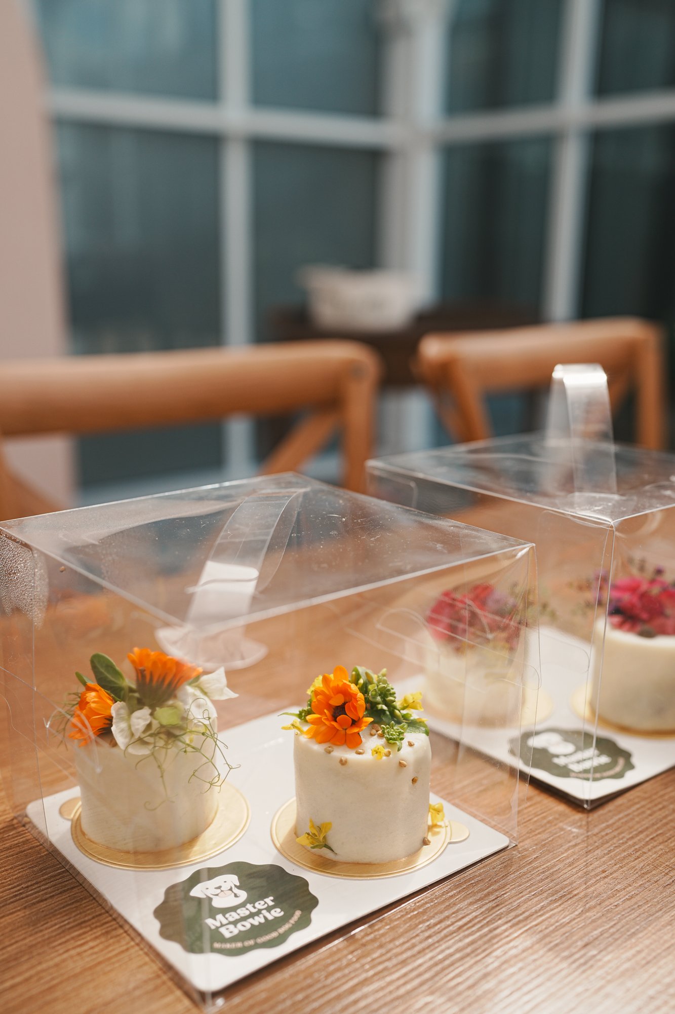 Mochi dog birthday party at pet-friendly Petit House venue